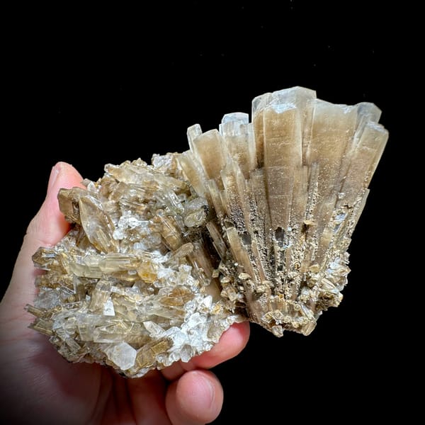 Tea-coloured radiating calcite fan on bladed calcite base from Fujian, China, top view