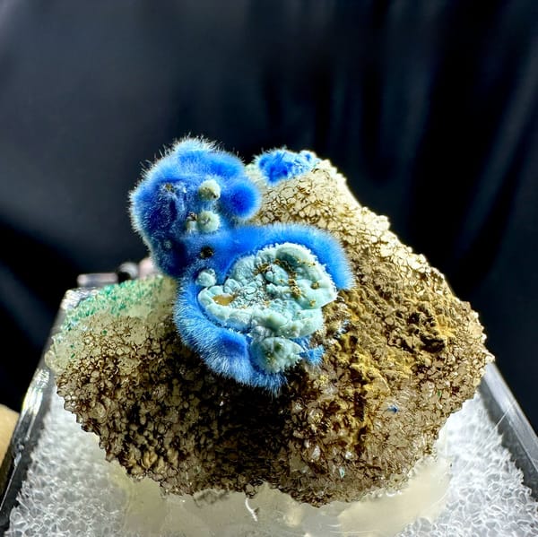 Vivid blue fuzzy cyanotrichite balls with gibbsite on brown matrix from Guizhou, China, in perky box