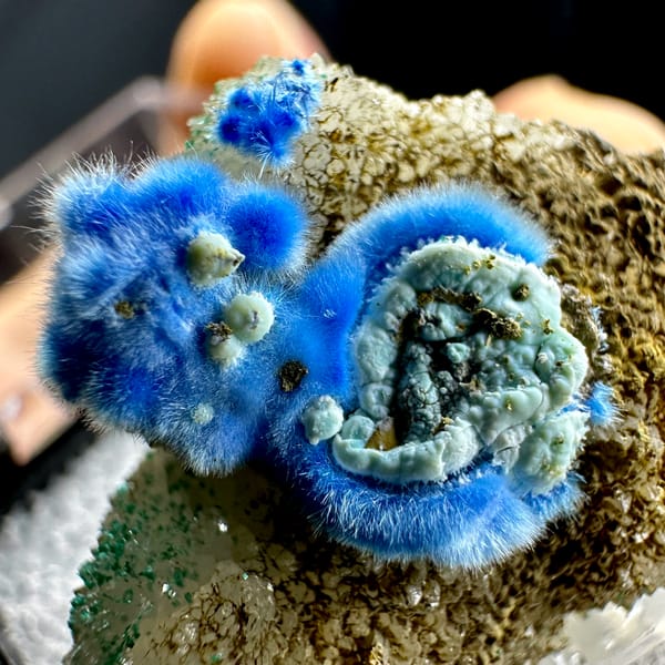 Vivid blue fuzzy cyanotrichite balls with gibbsite on brown matrix from Guizhou, China, second angle