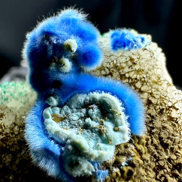 Vivid blue fuzzy cyanotrichite balls with gibbsite on brown matrix from Guizhou, China, close-up of the crystal faces