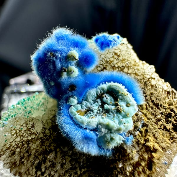 Vivid blue fuzzy cyanotrichite balls with gibbsite on brown matrix from Guizhou, China, reverse side