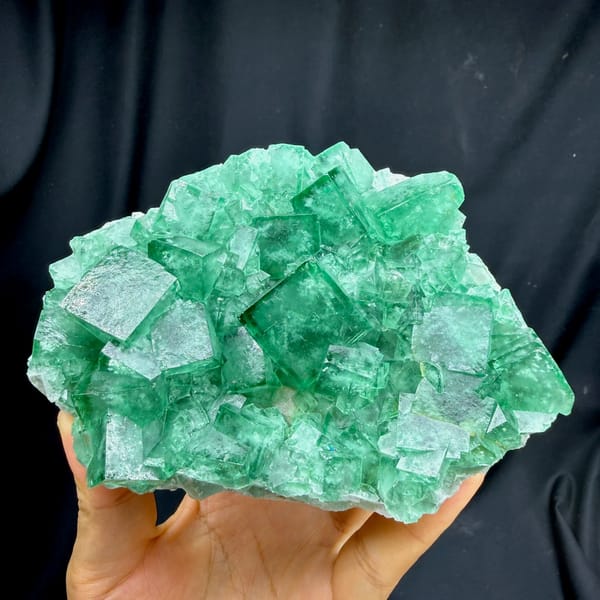 Plate of glassy emerald-green daylight fluorite cubes from Madagascar, held in hand