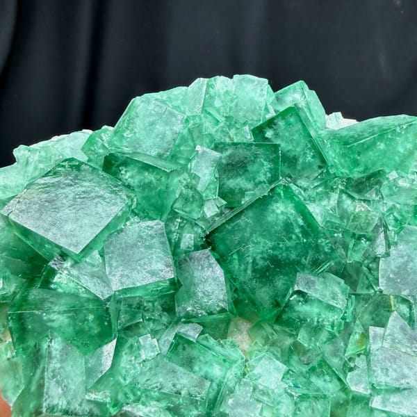 Plate of glassy emerald-green daylight fluorite cubes from Madagascar, close-up of the crystal faces