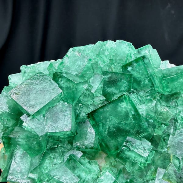 Plate of glassy emerald-green daylight fluorite cubes from Madagascar, reverse side