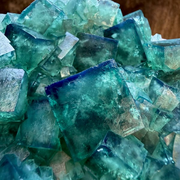 Plate of glassy emerald-green daylight fluorite cubes from Madagascar, top view