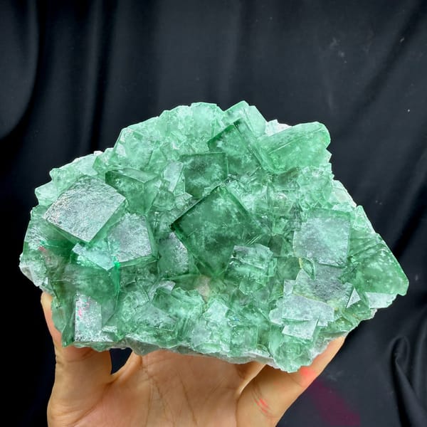 Plate of glassy emerald-green daylight fluorite cubes from Madagascar, detail of the matrix contact