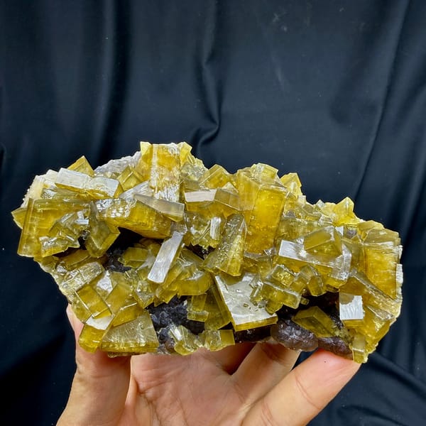 Block of golden baryte blades with purple fluorite from Jiangxi, China, held in hand
