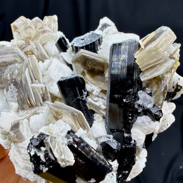 Black schorl prisms in white feldspar and tan mica from Pakistan, close-up of the crystal faces