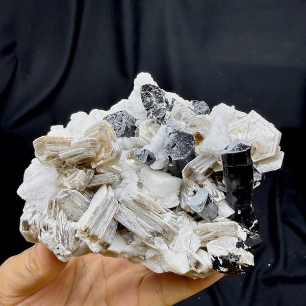 Black schorl prisms in white feldspar and tan mica from Pakistan, detail of the matrix contact