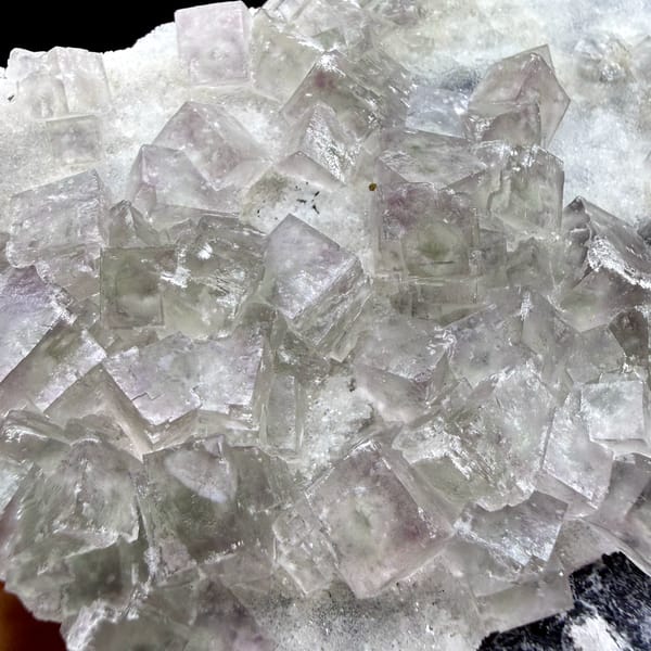 Plate of pale pink-green fluorite cubes on dark quartz from Henan, China, second angle