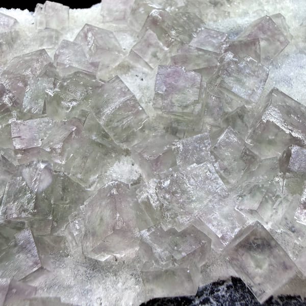Plate of pale pink-green fluorite cubes on dark quartz from Henan, China, close-up of the crystal faces