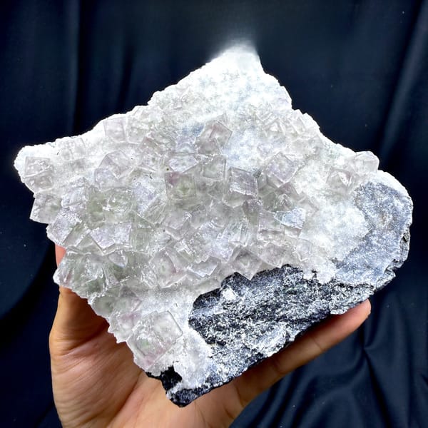 Plate of pale pink-green fluorite cubes on dark quartz from Henan, China, detail of the matrix contact