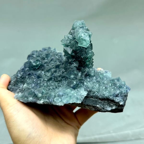 Teal-green octahedral fluorite tower on dark quartz plate from Inner Mongolia, China, close-up of terminations