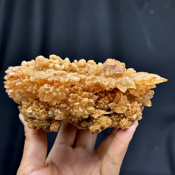 Plate of tan chrysanthemum calcite sprays from Yunnan, China, second angle