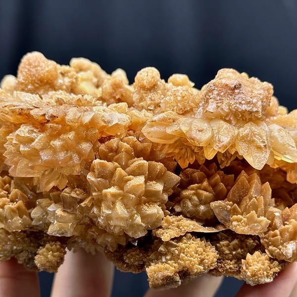 Plate of tan chrysanthemum calcite sprays from Yunnan, China, close-up of the crystal faces