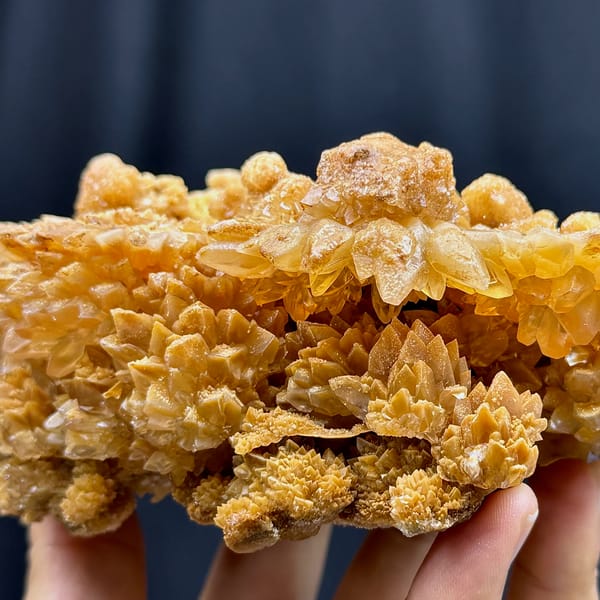 Plate of tan chrysanthemum calcite sprays from Yunnan, China, reverse side
