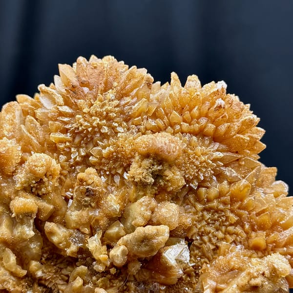 Plate of tan chrysanthemum calcite sprays from Yunnan, China, top view