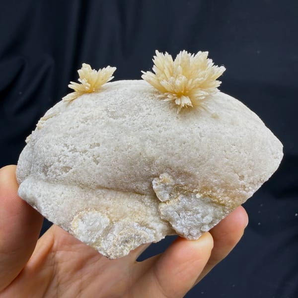 Two radiating cream calcite flowers on grey block from Yunnan, China, second angle