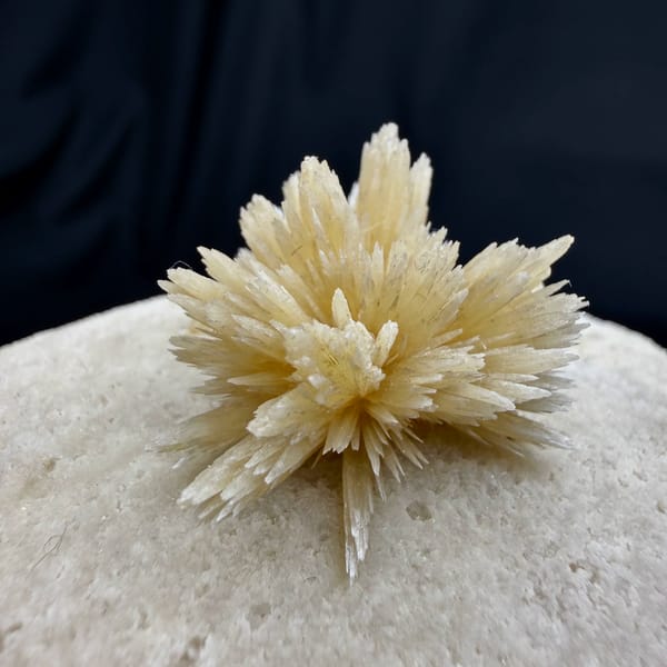 Two radiating cream calcite flowers on grey block from Yunnan, China, top view