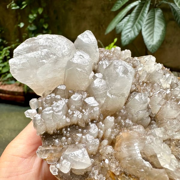 Pale plate of stubby prismatic calcite crystals from Guangxi, China, reverse side