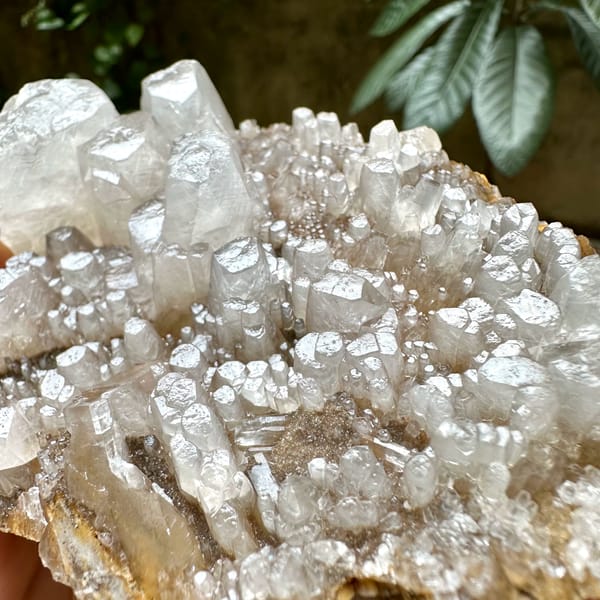Pale plate of stubby prismatic calcite crystals from Guangxi, China, top view