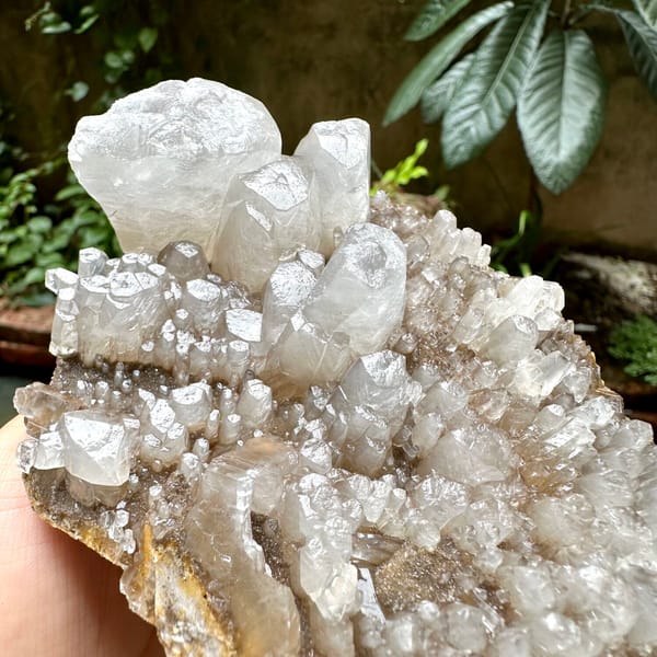 Pale plate of stubby prismatic calcite crystals from Guangxi, China, close-up of terminations