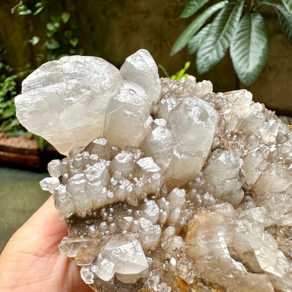 Pale plate of stubby prismatic calcite crystals from Guangxi, China, overall view