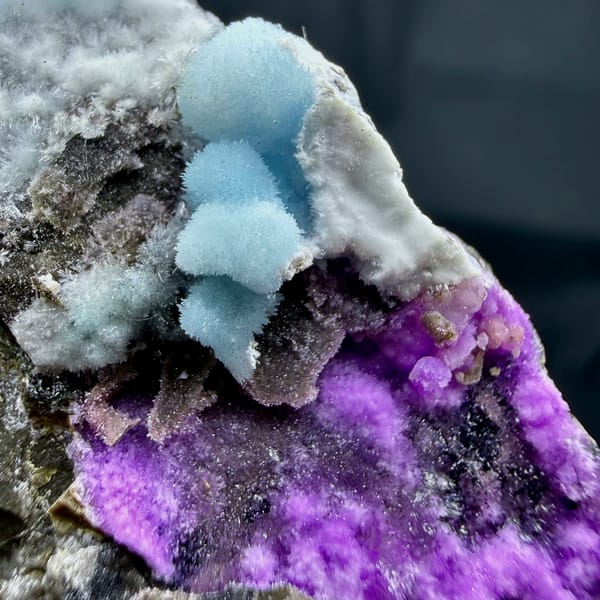 Magenta, blue and white aragonite on dark rock wedge from Yunnan, China, close-up of the crystal faces