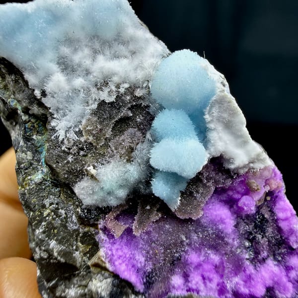 Magenta, blue and white aragonite on dark rock wedge from Yunnan, China, reverse side