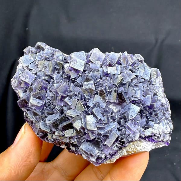 Plate of iridescent purple fluorite cubes with rainbow sheen from Inner Mongolia, China