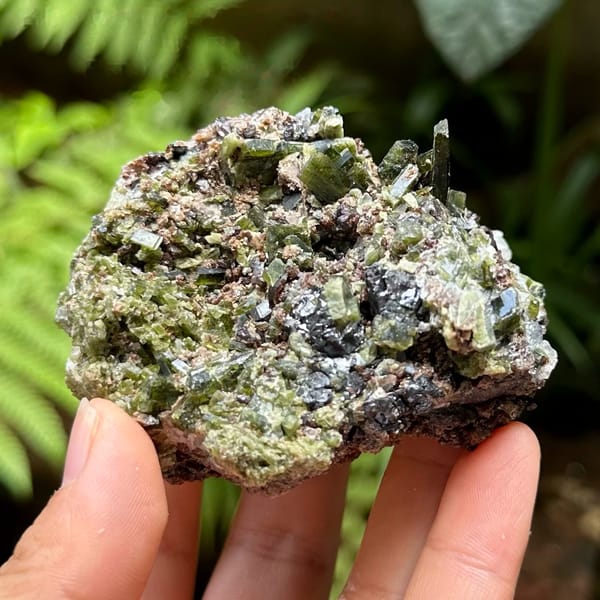 Green diopside crystals with garnet and galena from Inner Mongolia, China, held in hand