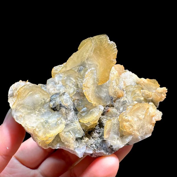 Honey-yellow platy calcite crystals in stacked cluster from Guangdong, China, held in hand