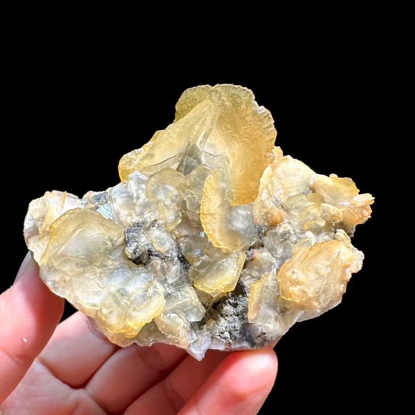 Honey-yellow platy calcite crystals in stacked cluster from Guangdong, China, second angle