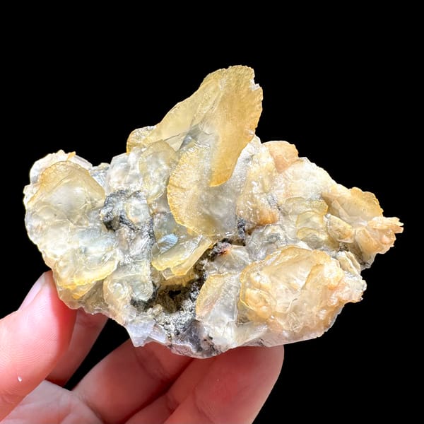 Honey-yellow platy calcite crystals in stacked cluster from Guangdong, China, close-up of the crystal faces