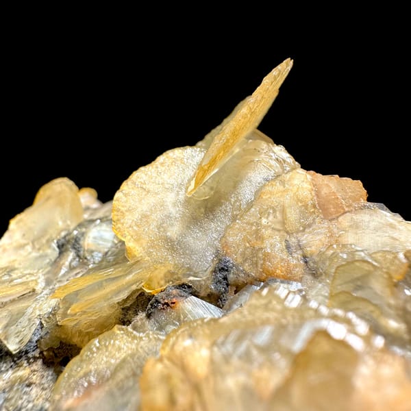 Honey-yellow platy calcite crystals in stacked cluster from Guangdong, China, reverse side