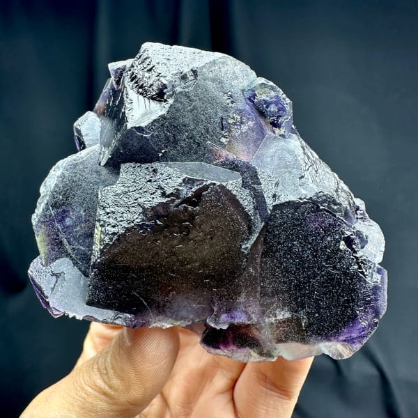 Deep purple phantom fluorite glowing when, from Inner Mongolia, China, front view in daylight, held in hand