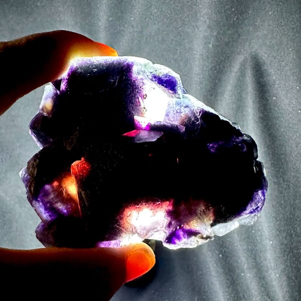 Deep purple phantom fluorite glowing when back-lit, from Inner Mongolia, China, held in hand