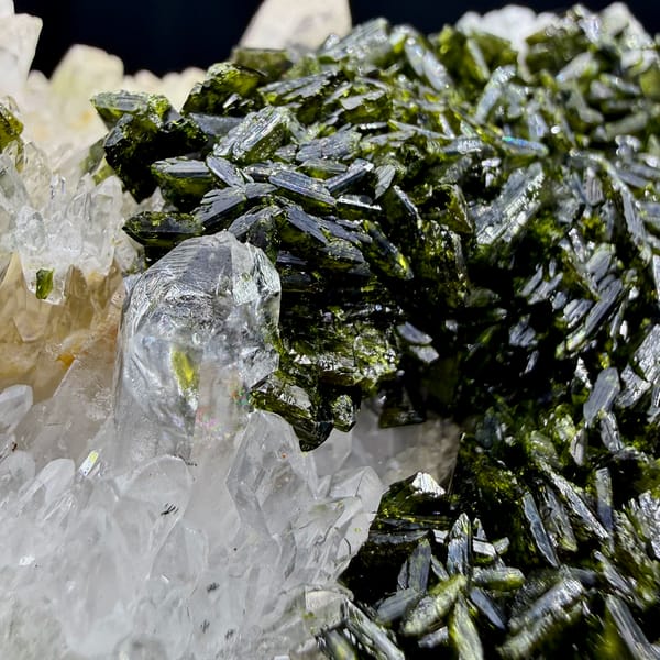 Dark green epidote thicket beside clear quartz points from Sichuan, China, close-up of the crystal faces