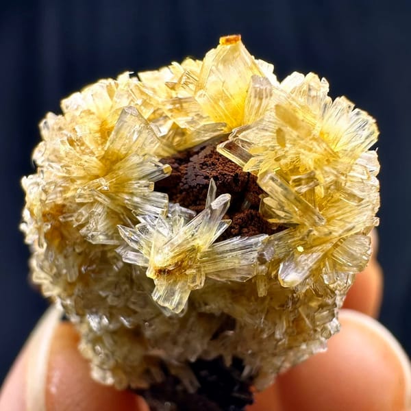 Fluorite cubes wrapped in golden jarosite from Guizhou, China, held in hand