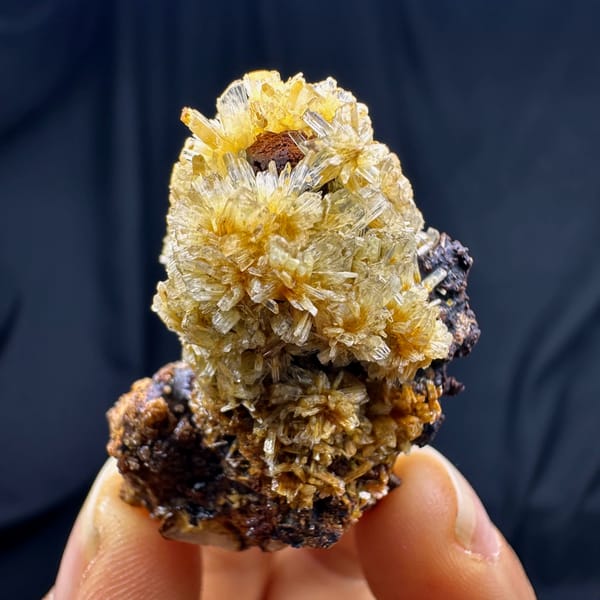 Fluorite cubes wrapped in golden jarosite from Guizhou, China, second angle