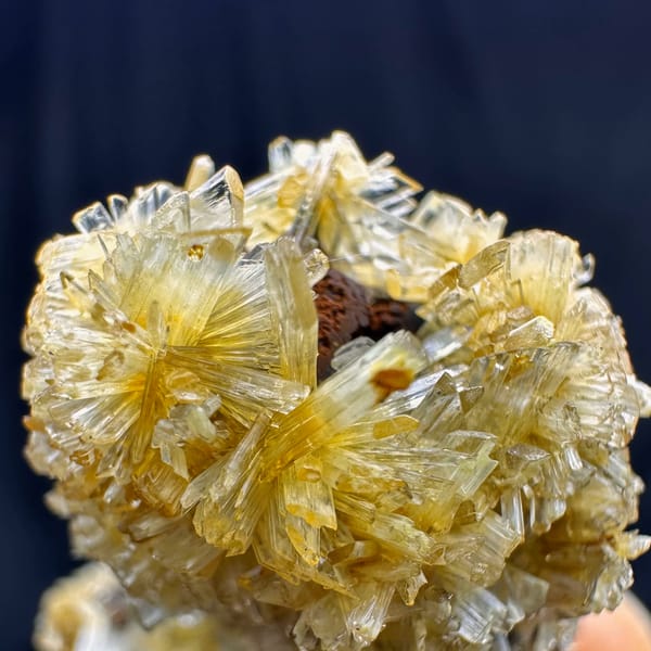 Fluorite cubes wrapped in golden jarosite from Guizhou, China, reverse side