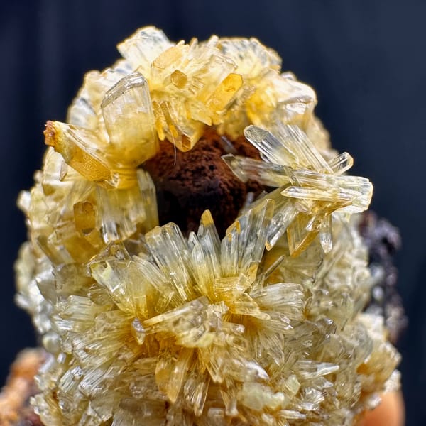 Fluorite cubes wrapped in golden jarosite from Guizhou, China, top view