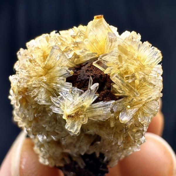 Fluorite cubes wrapped in golden jarosite from Guizhou, China, detail of the matrix contact