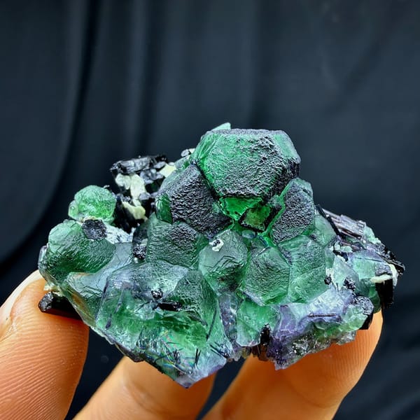 Emerald-green garden fluorite cubes with black tourmaline from Namibia, top view