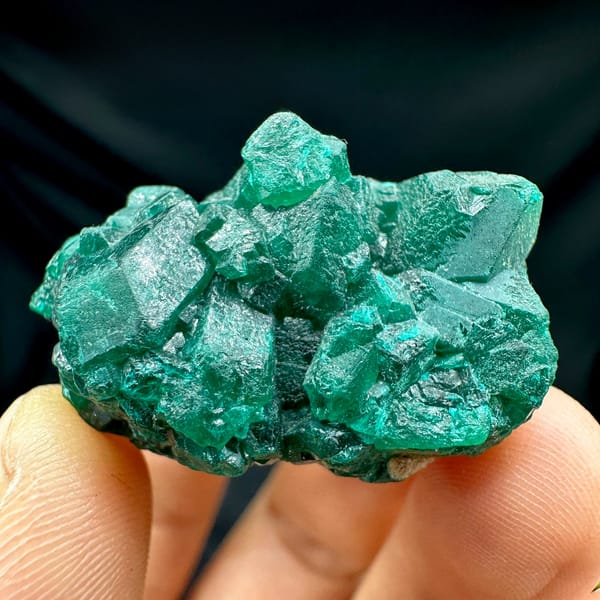 Cluster of emerald-green dioptase crystals from DR Congo, held in hand