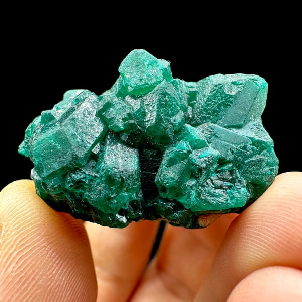 Cluster of emerald-green dioptase crystals from DR Congo, reverse side