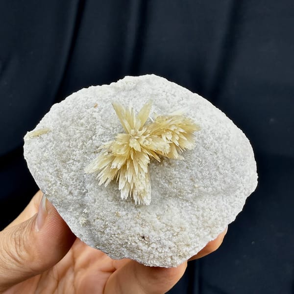 Golden radiating calcite spray on white calcite ball from Yunnan, China, held in hand