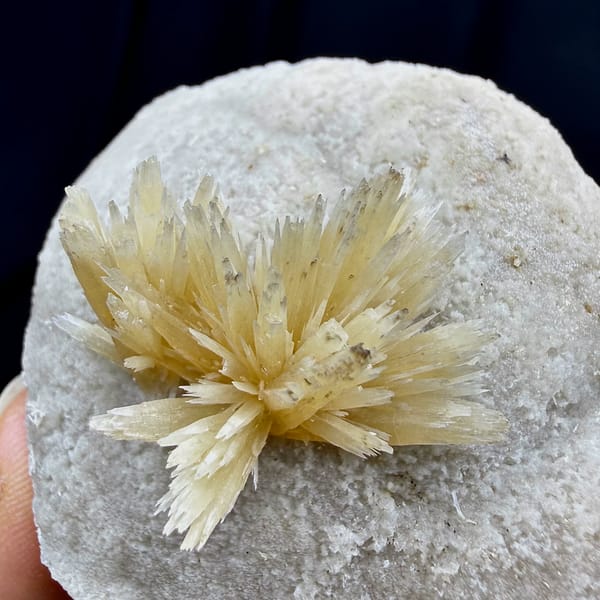 Golden radiating calcite spray on white calcite ball from Yunnan, China, top view