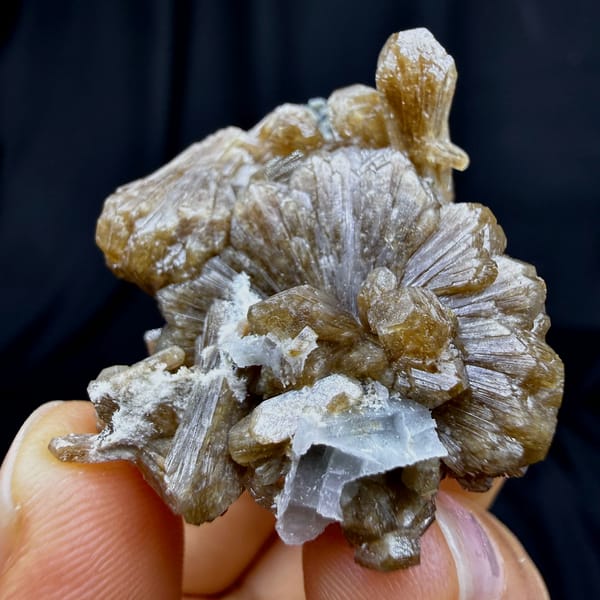 Golden sunflower stilbite bow-tie with white calcite from Yunxiao, Fujian, China, second angle