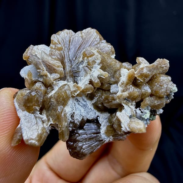 Golden sunflower stilbite bow-tie with white calcite from Yunxiao, Fujian, China, close-up of the crystal faces